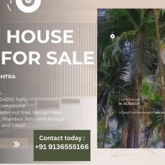 Farm House Plot in Alibagh,