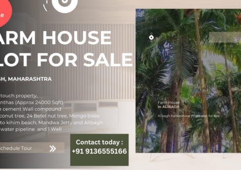 Farm House Plot in Alibagh,