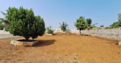 Farm House Plot at Karjat