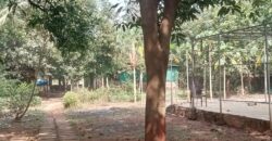 Farm house for sale at Chouk, Khalapur