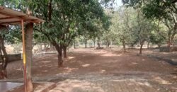 Farm house for sale at Chouk, Khalapur