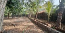 Farm house for sale at Chouk, Khalapur