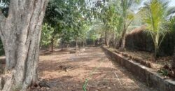 Farm house for sale at Chouk, Khalapur