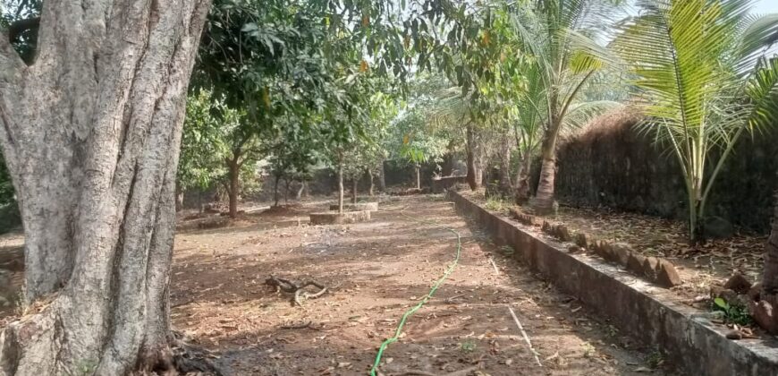 Farm house for sale at Chouk, Khalapur