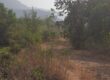 Agricultural land for sell in kamat pada, Karjat, Raigarh