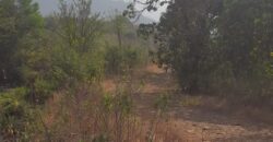 Agricultural land for sell in kamat pada, Karjat, Raigarh