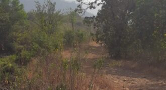 Agricultural land for sell in kamat pada, Karjat, Raigarh