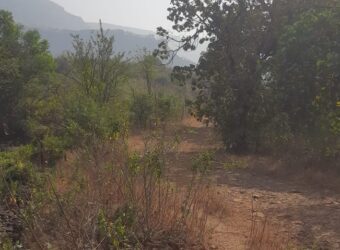 Agricultural land for sell in kamat pada, Karjat, Raigarh