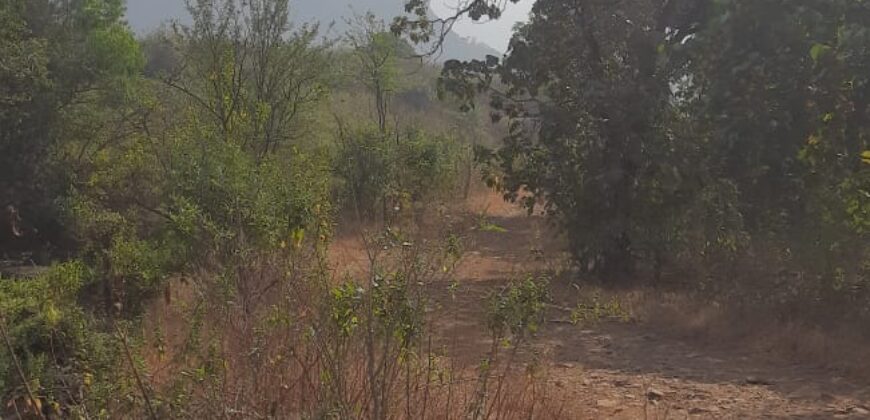 Agricultural land for sell in kamat pada, Karjat, Raigarh